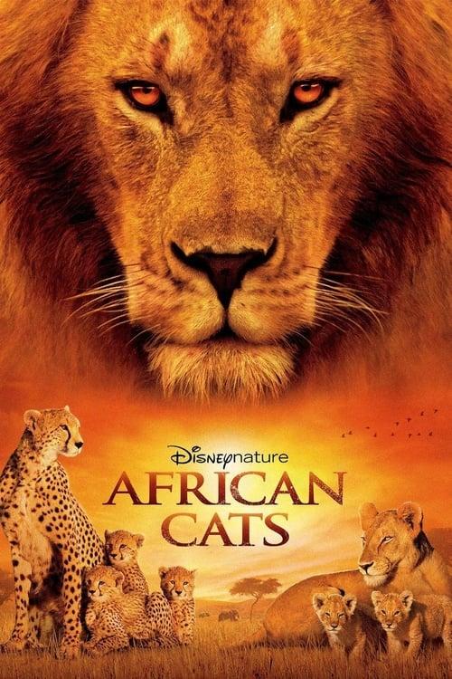 Download African Cats poster