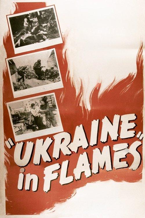 Download Ukraine in Flames poster