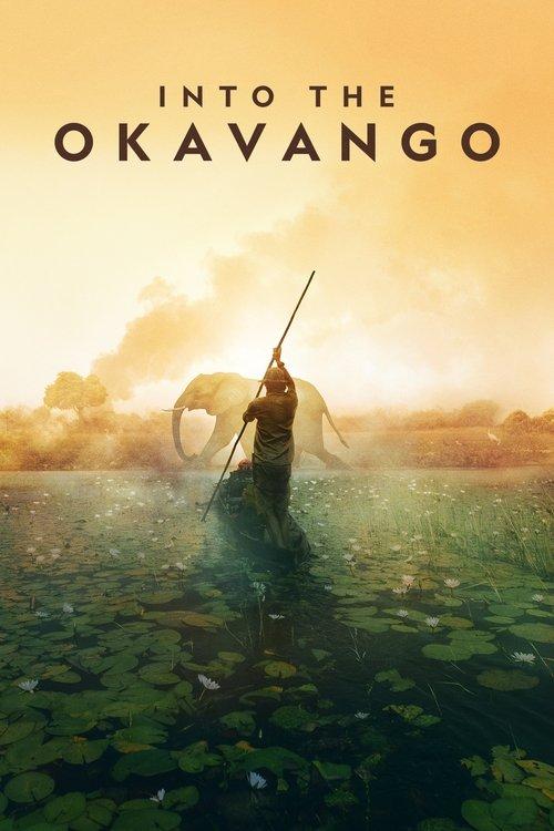 Download Into the Okavango poster