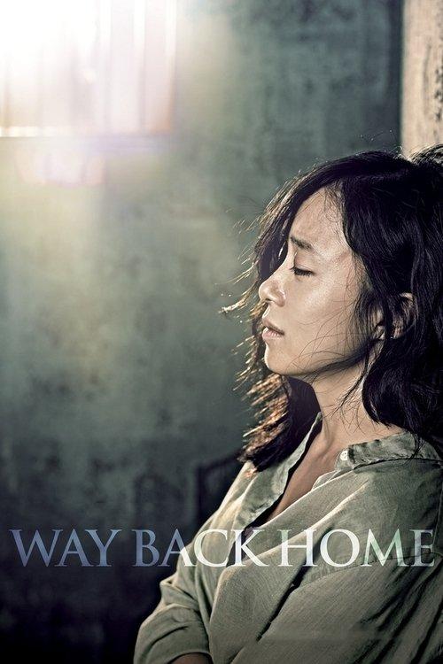 Download Way Back Home poster