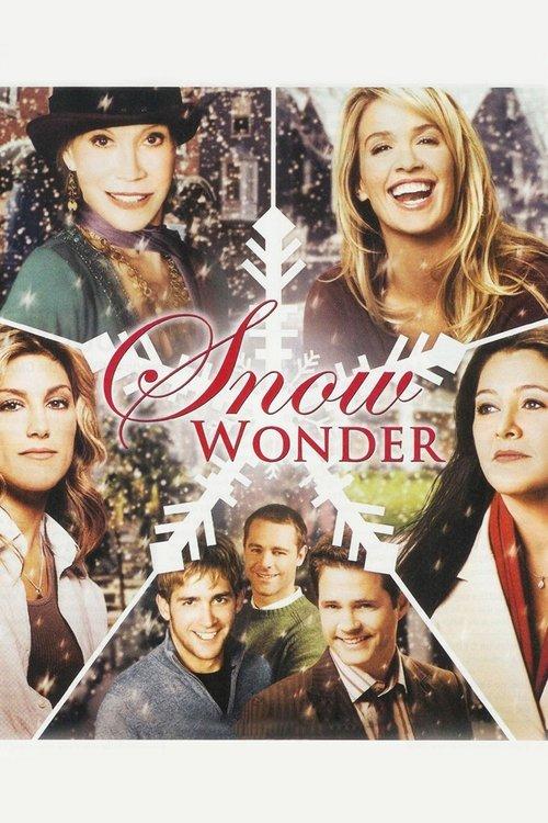 Download Snow Wonder poster