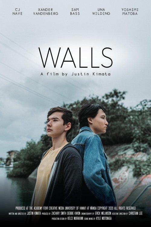Download Walls poster
