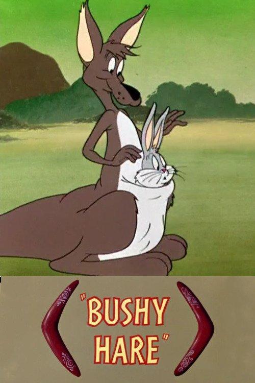 Download Bushy Hare poster