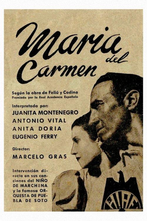 Download The Gardens of Murcia poster