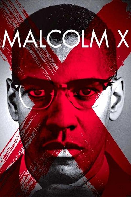 Download Malcolm X poster