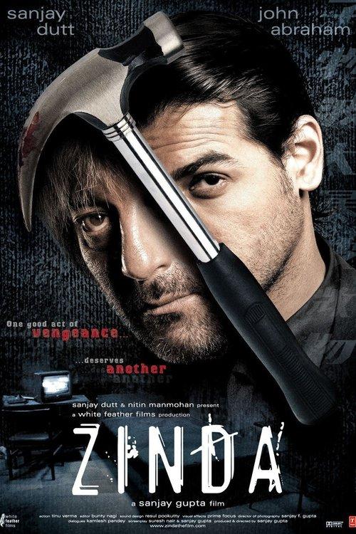 Download Zinda poster