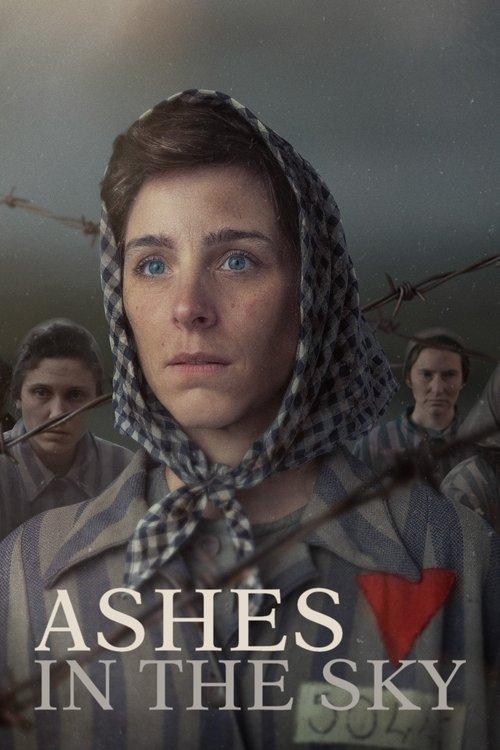 Download Ashes in the Sky poster
