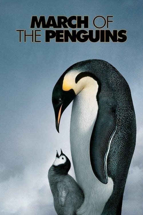 Download March of the Penguins poster