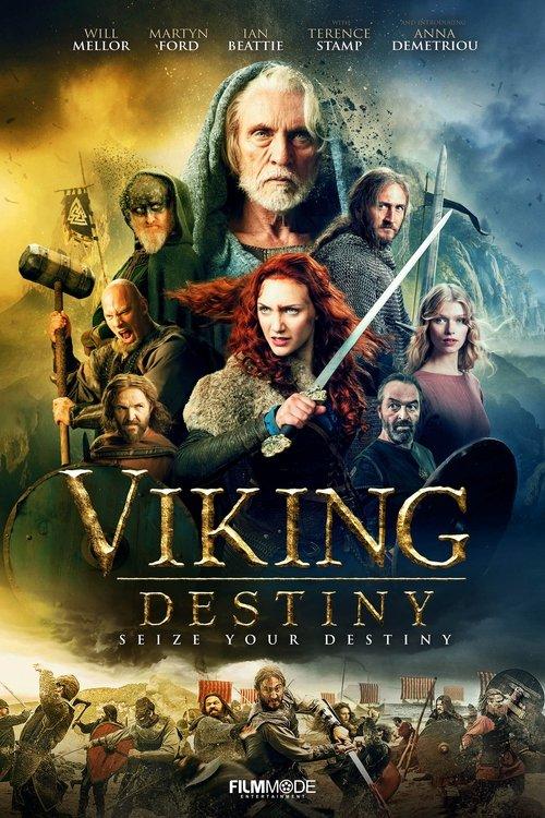 Download Viking Destiny poster