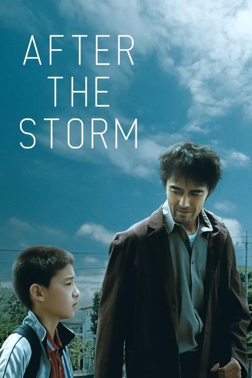 Download After the Storm poster