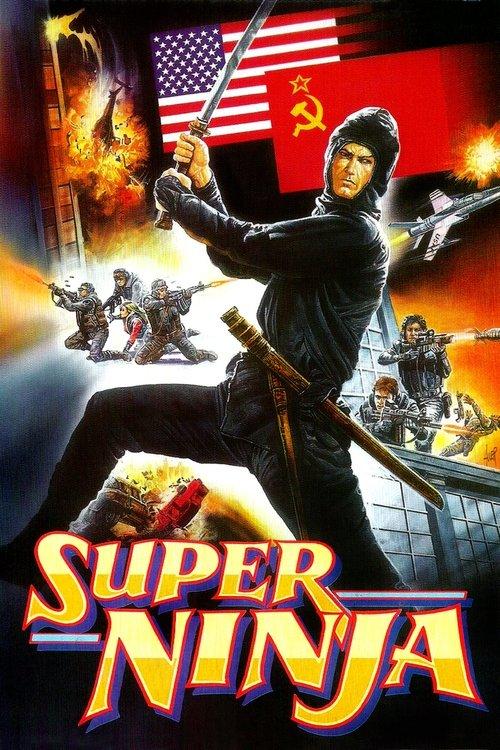 Download The Super Ninja poster