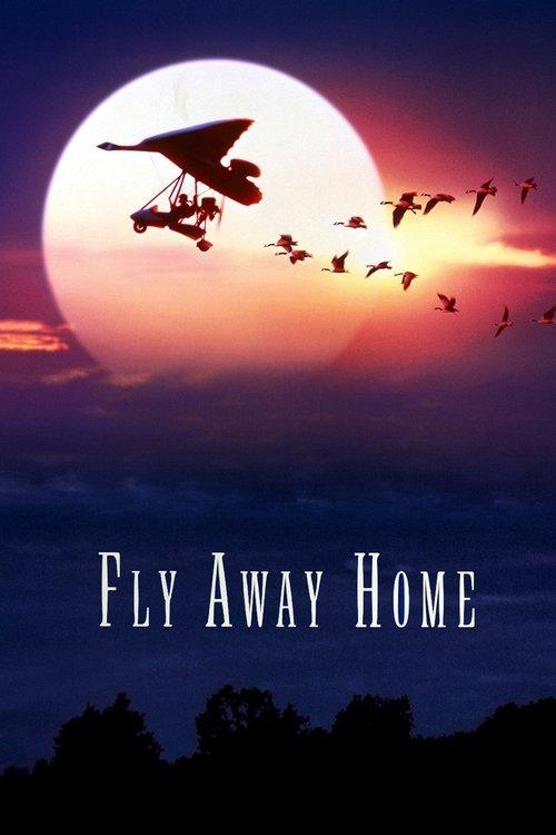 Download Fly Away Home poster