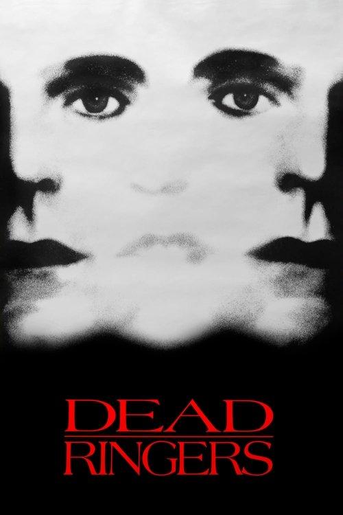 Download Dead Ringers poster