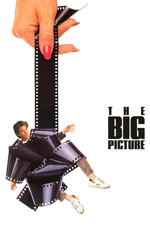 Download The Big Picture poster