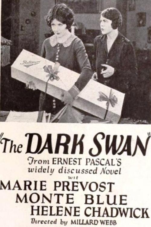 Download The Dark Swan poster