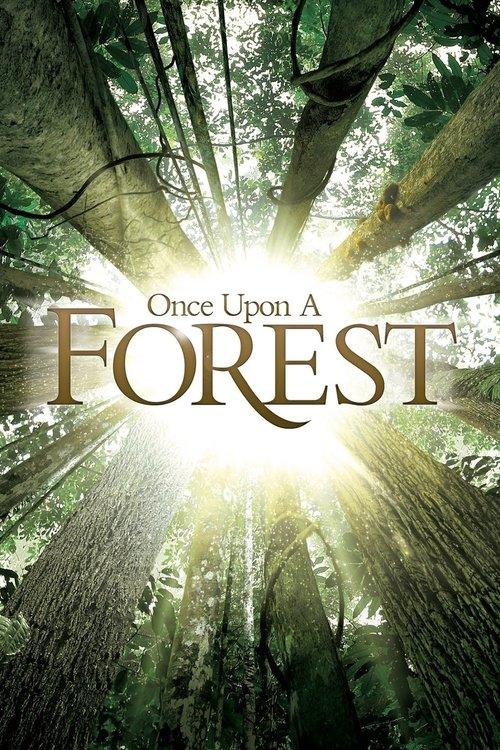 Download Once Upon a Forest poster