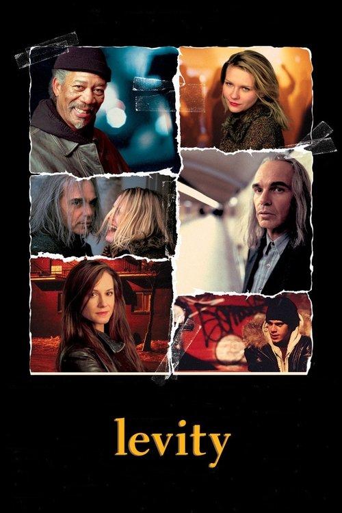 Download Levity poster