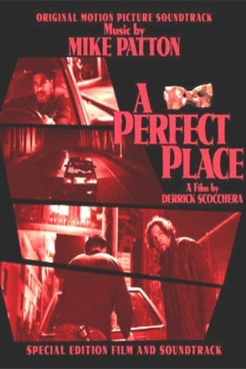 Download A Perfect Place poster