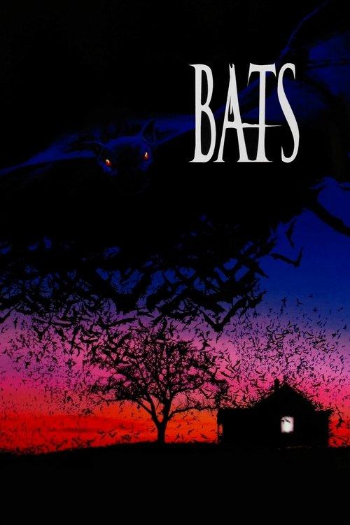 Download Bats poster