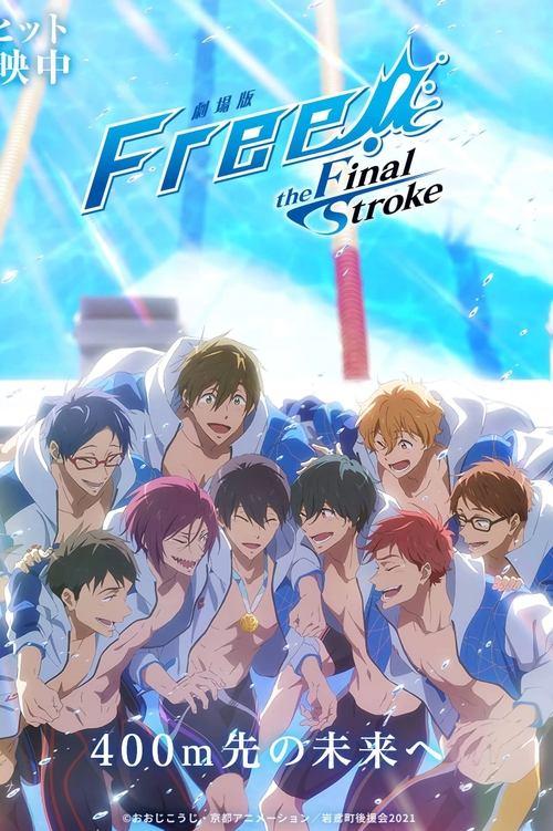 Download Free! the Final Stroke the Second Volume poster