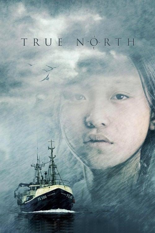Download True North poster