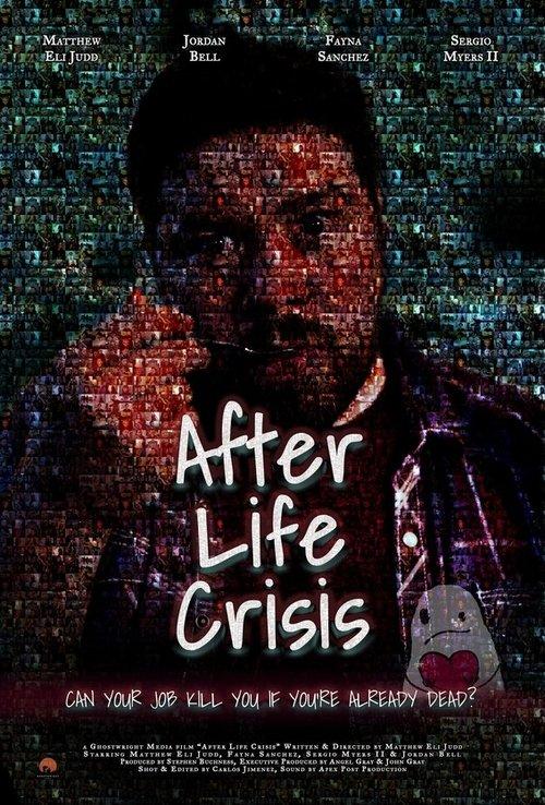Download After Life Crisis poster