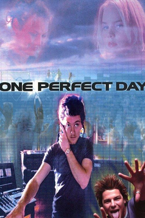 Download One Perfect Day poster