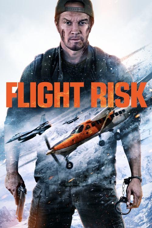 Download Flight Risk poster