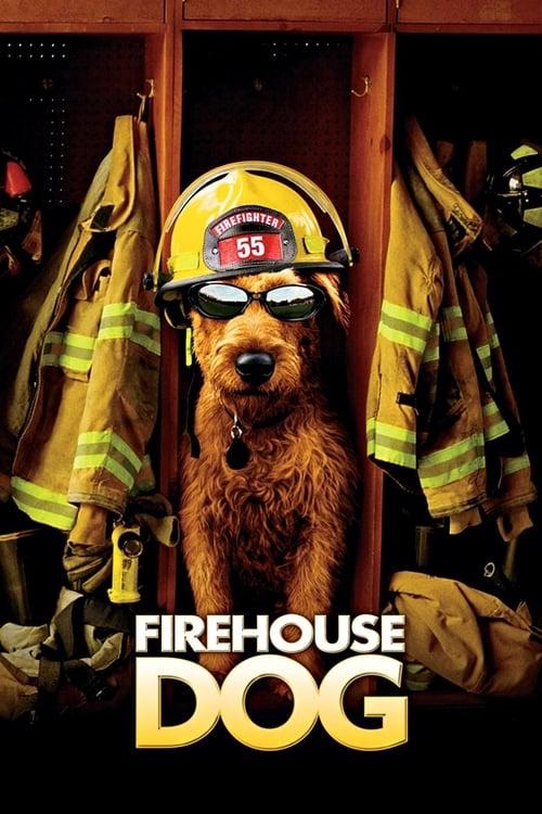 Download Firehouse Dog poster