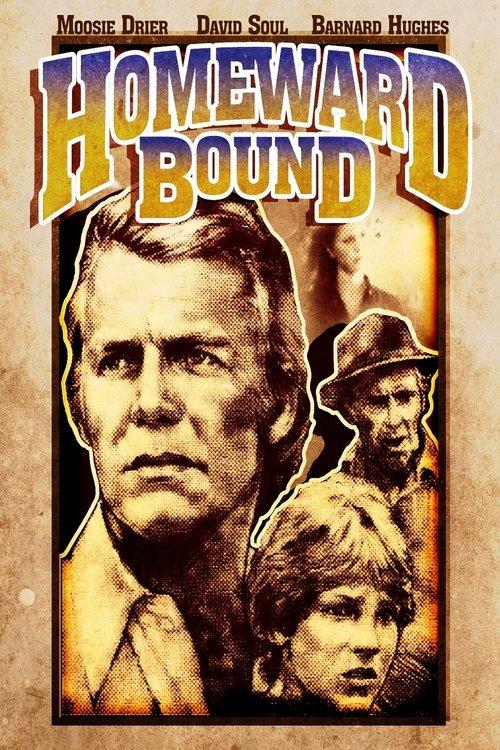 Download Homeward Bound poster