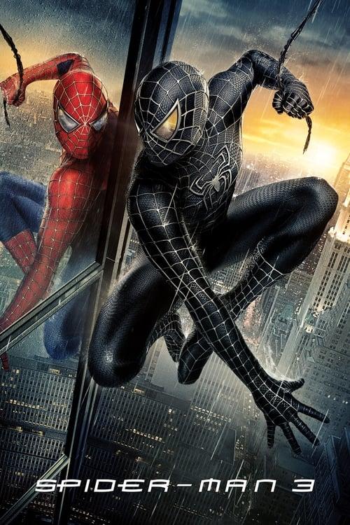 Download Spider-Man 3 poster