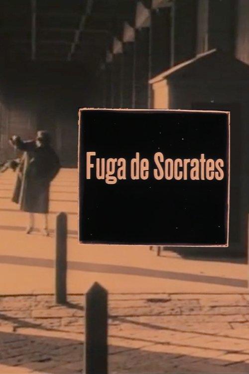 Download The Flight of Socrates poster