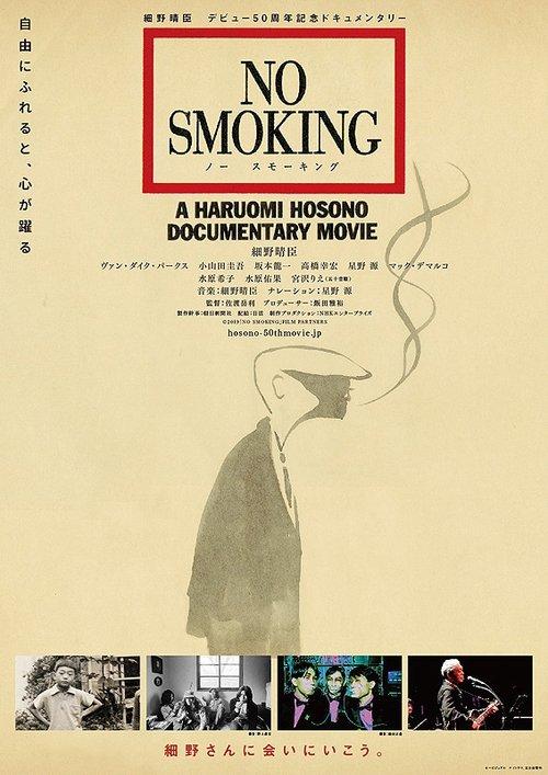 Download No Smoking poster