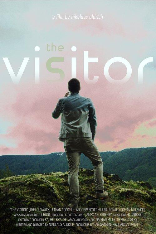 Download The Visitor poster