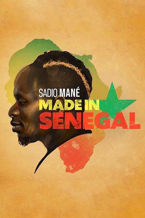 Download Made in Senegal poster