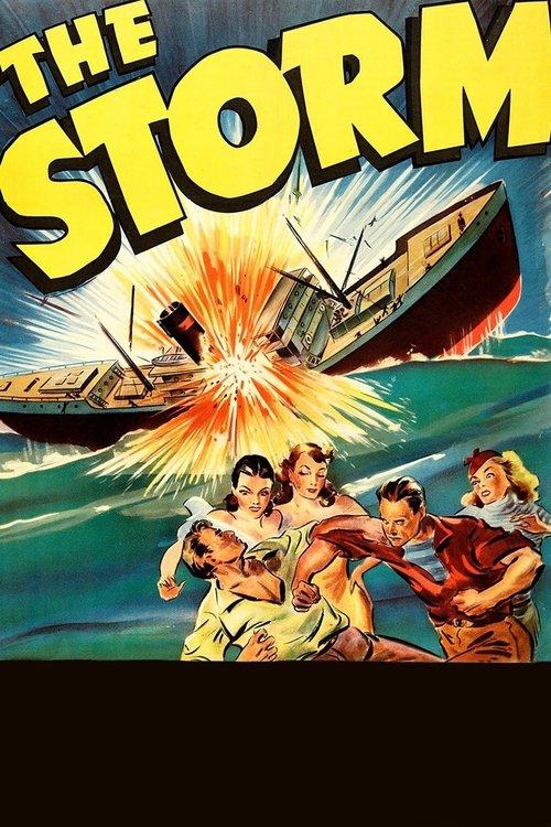 Download The Storm poster