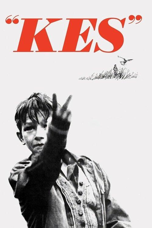 Download Kes poster