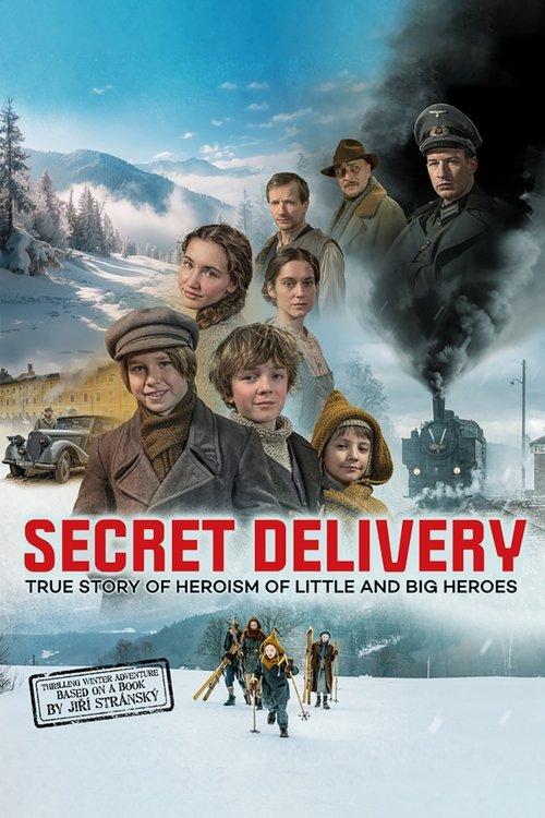 Download Secret Delivery poster