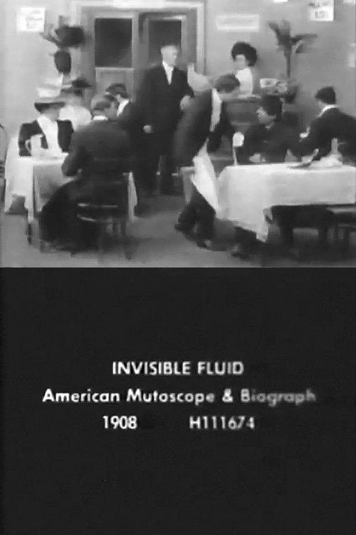 Download The Invisible Fluid poster