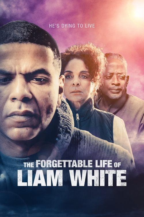 Download The Forgettable Life of Liam White poster