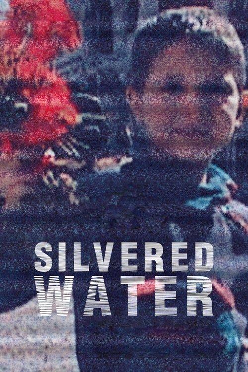 Download Silvered Water poster