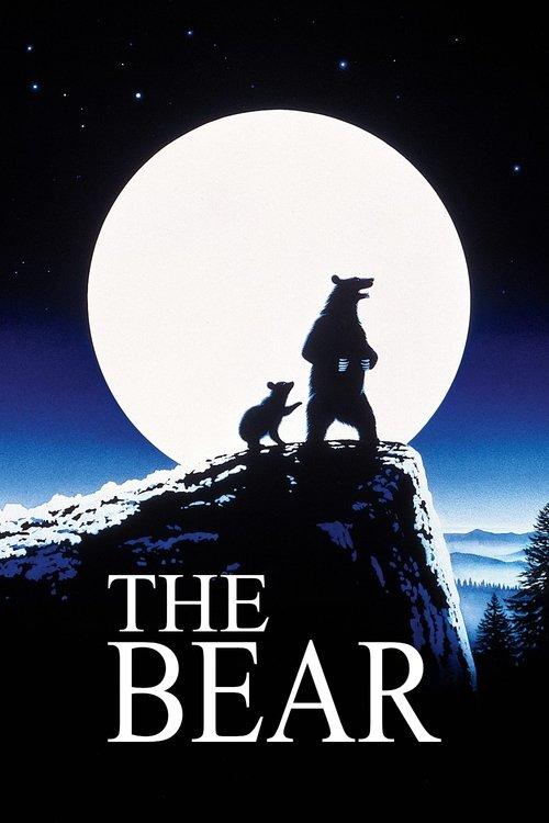 Download The Bear poster