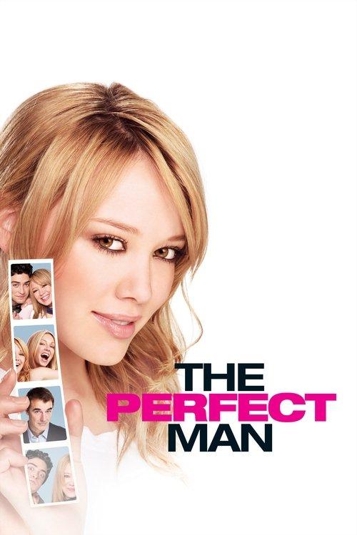 Download The Perfect Man poster