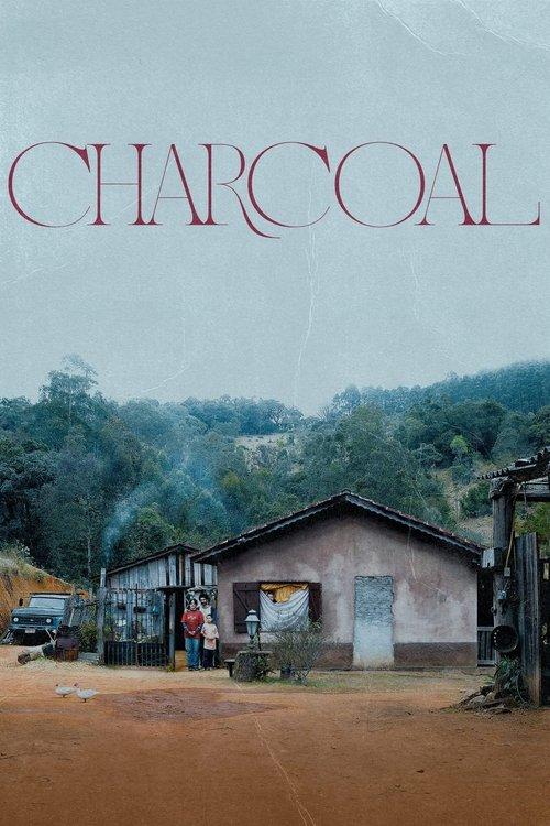 Download Charcoal poster