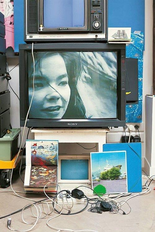 Download Björk: Vessel 1994 poster