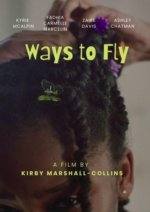 Download Ways to Fly poster