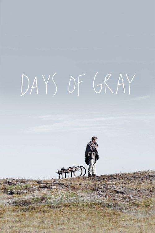Download Days of Gray poster