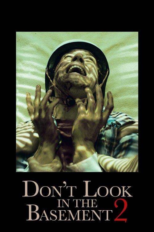 Download Don't Look in the Basement 2 poster