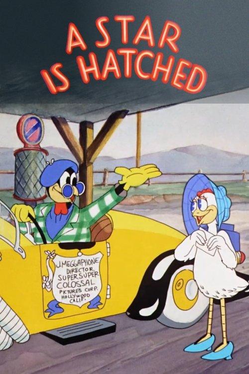 Download A Star Is Hatched poster