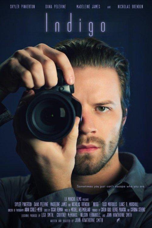 Download Indigo poster